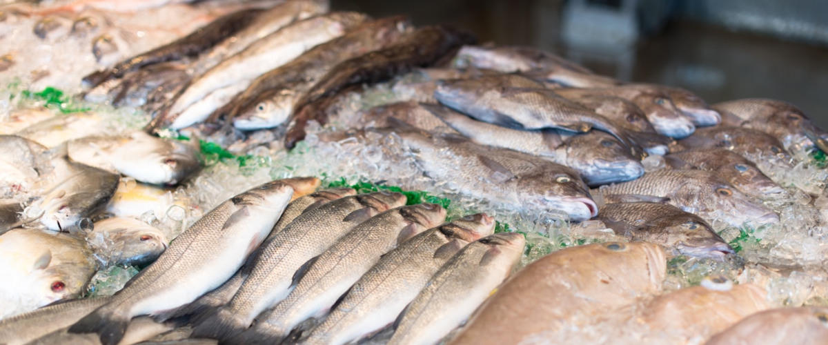 Fish Wholesale | Delivery available